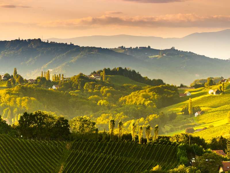 Weinregion Südtirol Weinberge bei Sonnenuntergang