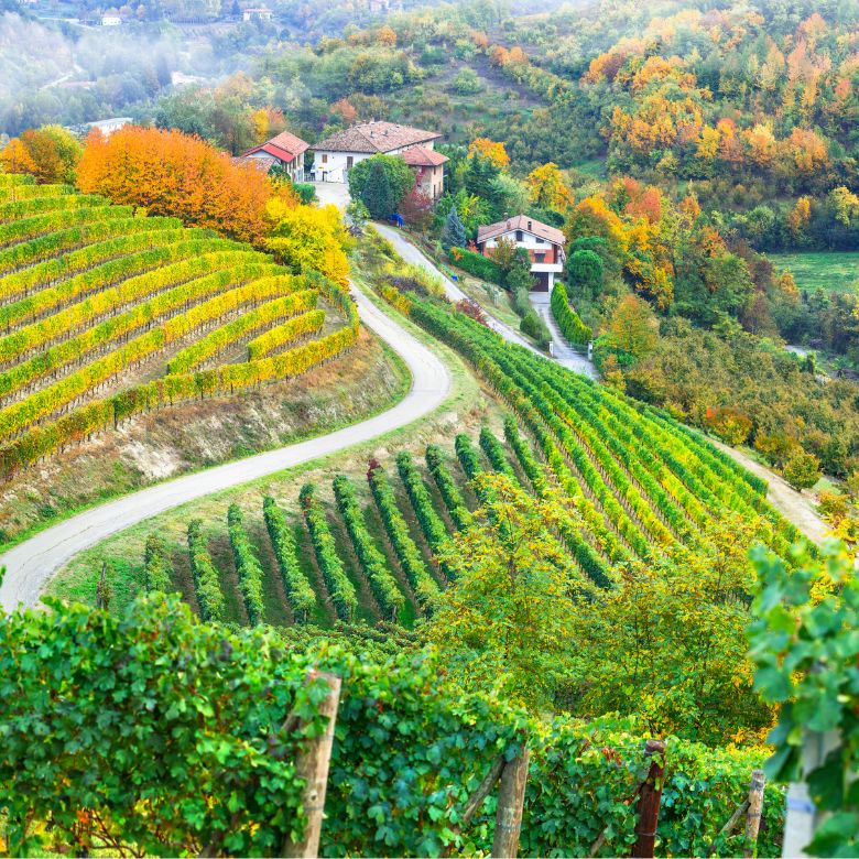 Norditalienischer Wein: Außergewöhnliche Genussmomente für Ihre Kunden